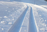 Ahrntal Winter Cross-country skiing Winter Ahrntal