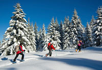 Ahrntal Winter Snowshoeing Winter Ahrntal