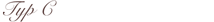 typ c