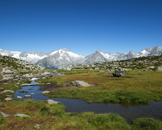 Residence Alpenrose Summer Ahrntal